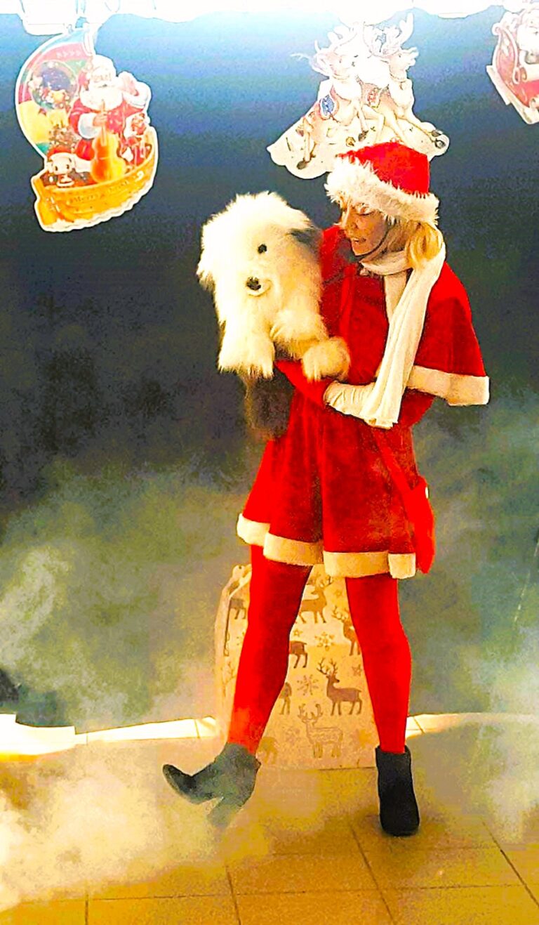 LES HISTOIRES DE LA MERE NOËL 1