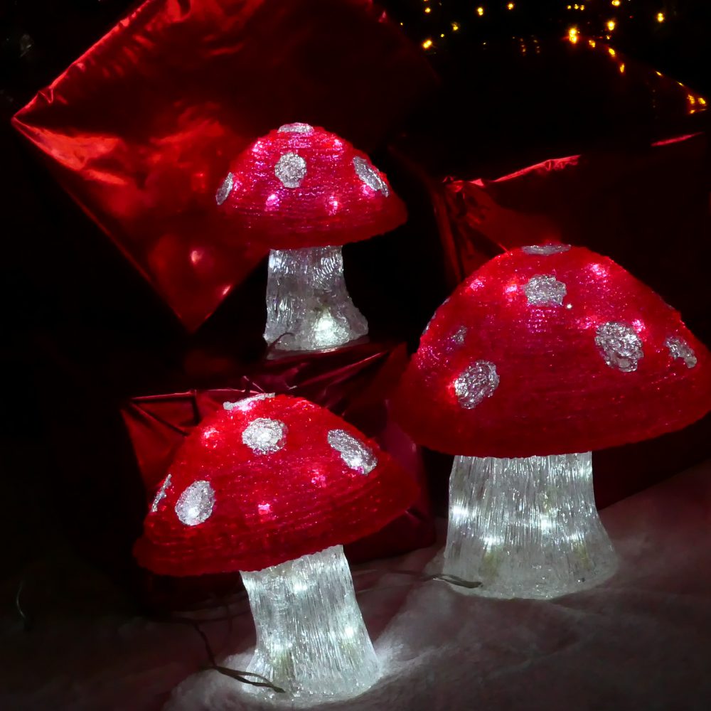 DECO CHAMPIGNONS (4)