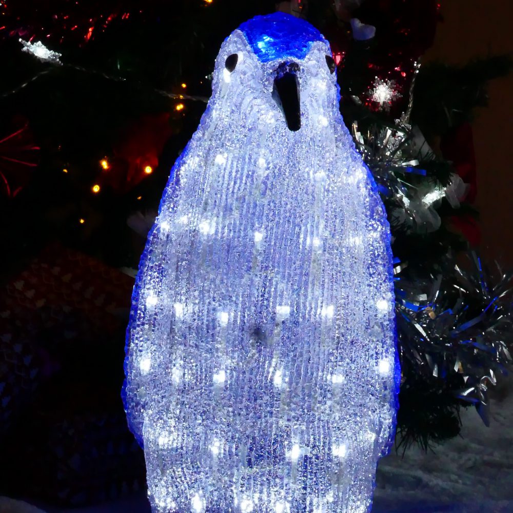 DECO REINE DES GLACES (1)