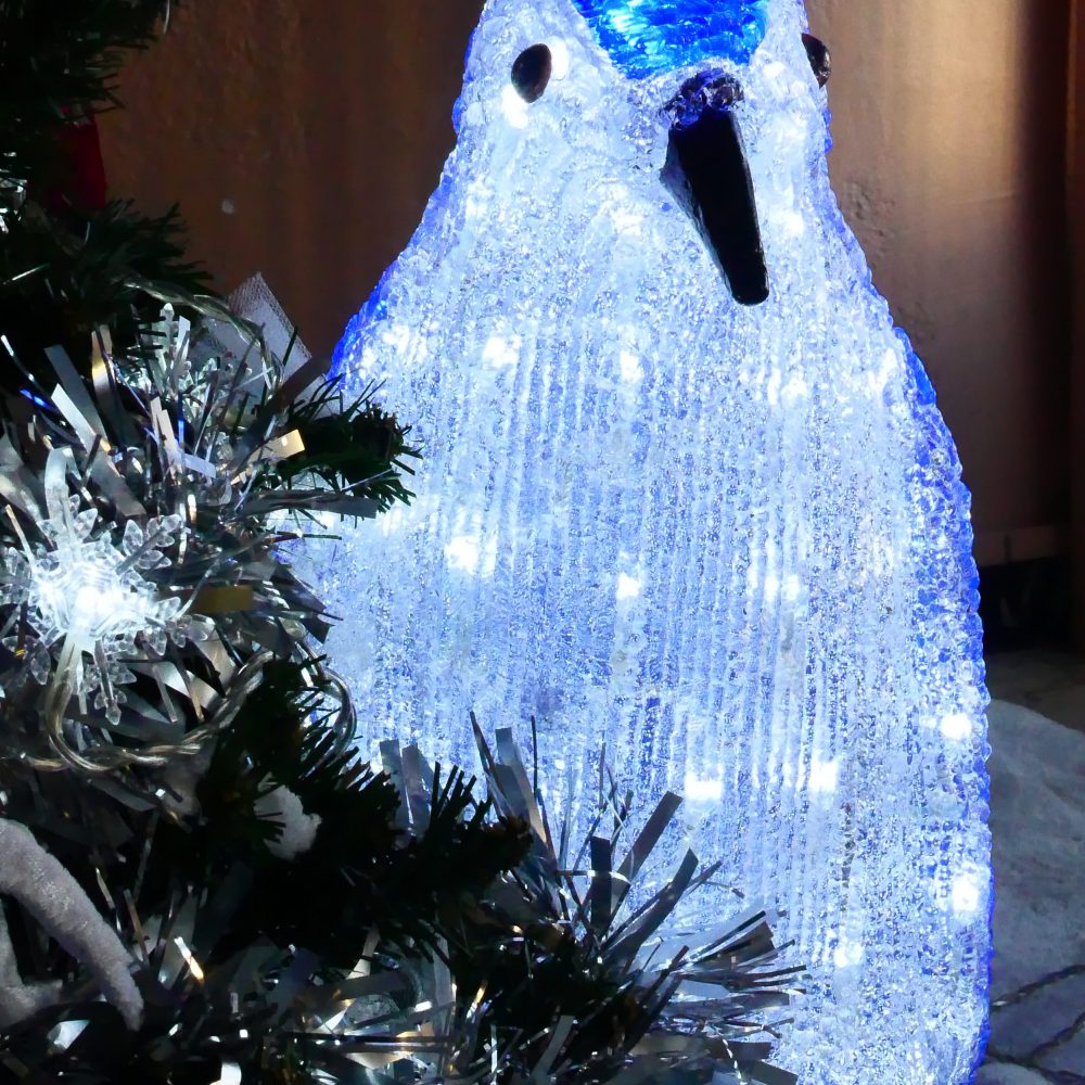 DECO REINE DES GLACES (4)